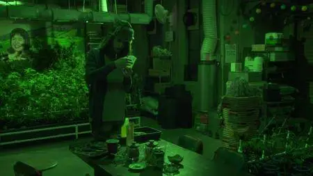 Disjointed S01E07