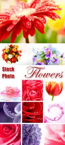 Stock Photo - Flowers