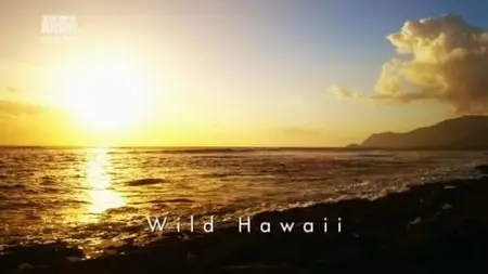 Discovery Channel - Wild Hawaii (2013)
