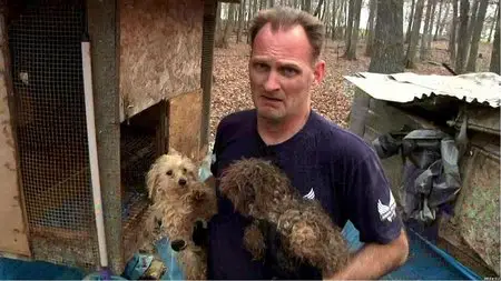 HBO Documentaries One Nation Under Dog-Stories of Fear Loss and Betrayal (2014)
