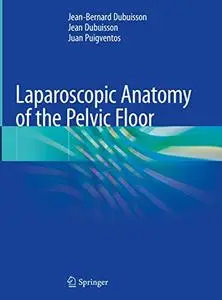 Laparoscopic Anatomy of the Pelvic Floor (Repost)