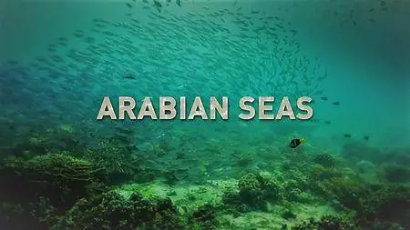 Smithsonian Earth - Arabian Seas: Series 1 (2018)