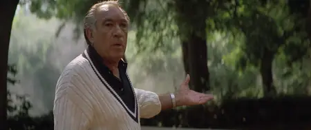 Revenge (1990)