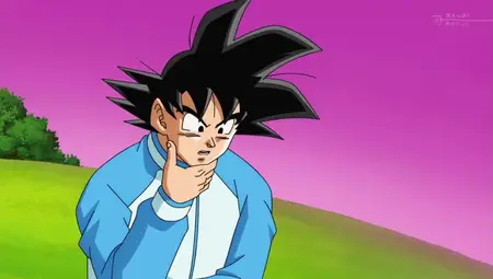 Dragon Ball Super 006