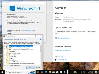 Windows 10 Pro 22H2 build 19045.5487 With Office 2024 Pro Plus Multilingual Preactivated February 2025