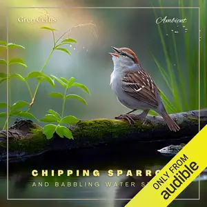 Chipping Sparrow and Babbling Water Stream: Morning Birdsongs and Water Streams for Peace and Relaxation