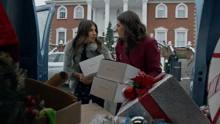 Holiday Crashers (2024)