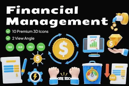 Financial Management 3D Icon WYZ5YKR
