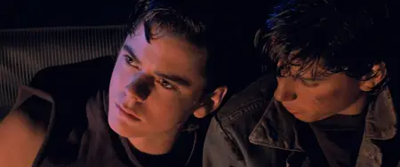 The Outsiders (1983) [Theatrical Cut]