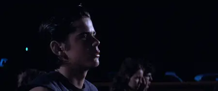 The Outsiders (1983) [Theatrical Cut]