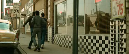 The Outsiders (1983) [Theatrical Cut]