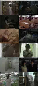 The Nude Woman (1996)