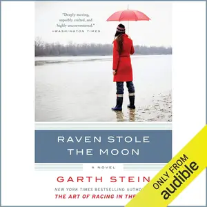 Raven Stole the Moon: A Novel