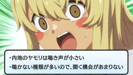 OKITSURA Fell in Love with an Okinawan Girl but I Just Wish I Know What Shes Saying S01E10