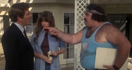 Fun with Dick and Jane (1977)