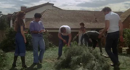 Fun with Dick and Jane (1977)