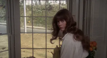 Fun with Dick and Jane (1977)