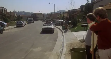 Fun with Dick and Jane (1977)