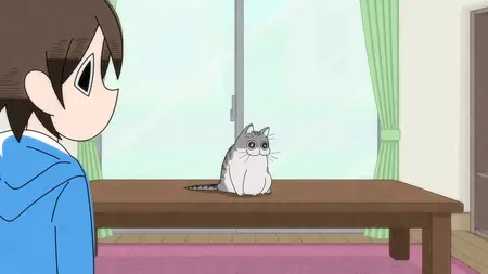 Nights With a Cat - S01E07 - Night 7 Can't Take Good Cat Pics