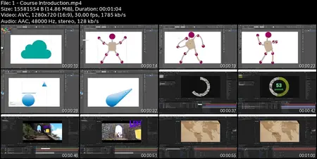 Adobe Illustrator and After Effects Bundle