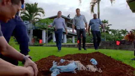 Hawaii Five-0 S07E03