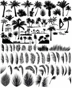 Vector Set - Palm and Leaves Shapes