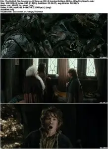 The Hobbit: The Desolation Of Smaug (2013) Extended Edition