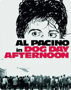 Dog Day Afternoon (1975) [w/Commentary]