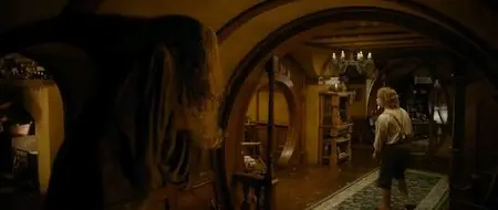 The Hobbit: An Unexpected Journey (2012)