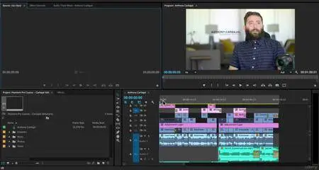 Udemy - Adobe Premiere Pro CC: Easy Video Editing with Premiere Pro