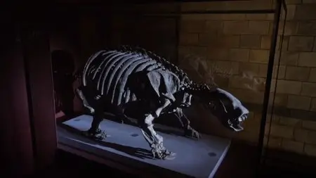 David Attenborough’s Natural History Museum Alive (2013)