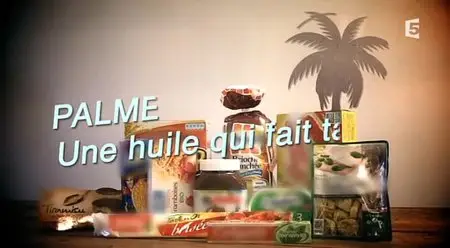 (Fr5) Palme, une huile qui fait tache (2013)