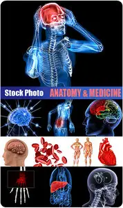 Stock Photo - Anatomy_&_Medicine