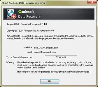 Amigabit Data Recovery Enterprise 2.0.4.0