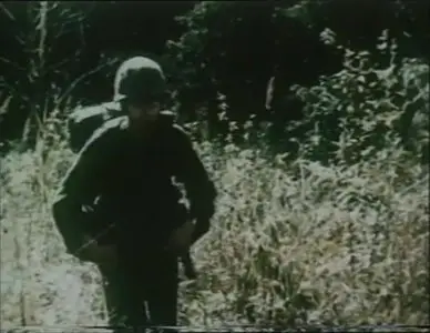 Vietnam Combat collection part 3 The Grunt's War