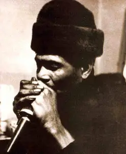Big Walter Horton - King Of The Harmonica Players (2009)