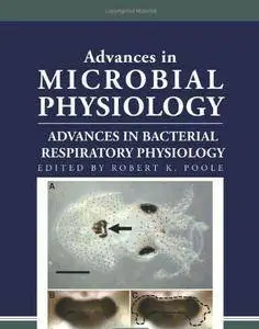Advances in Bacterial Respiratory Physiology
