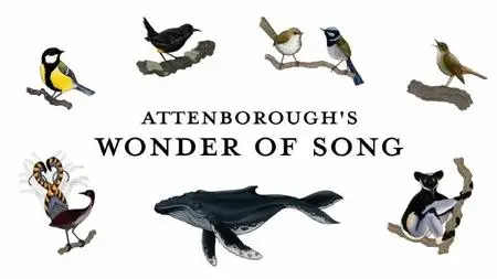 BBC - Attenborough's Wonder of Song (2021)