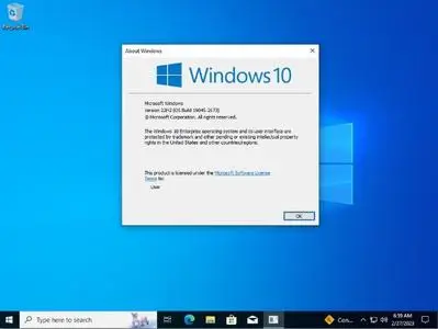 Windows 10 Enterprise 22H2 Build 19045.2673 x64 ESD en-US February 2023
