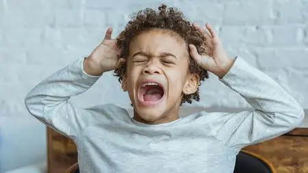 Autism Behaviors - Autistic Meltdowns