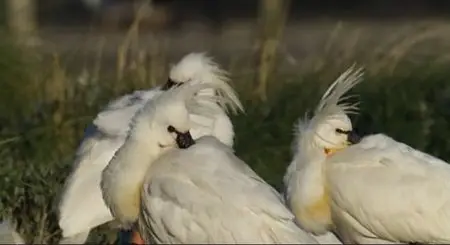 Nature Conservation Films - Give And Take (2001)