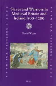 Slaves and Warriors in Medieval Britain and Ireland, 800 -1200 (The Northern World) by David Wyatt
