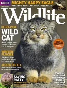 BBC Wildlife Magazine – December 2017