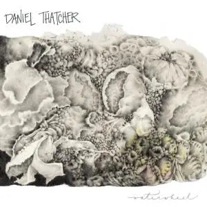 Daniel Thatcher - Waterwheel (feat. Matt Gold, John Kregor & Devin Drobka) (2021)