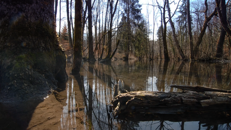 The Green Planet / Das grüne Wunder - Unser Wald (2012)