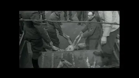 Night Will Fall (2014)