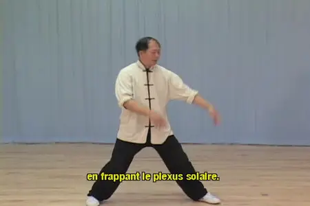 Tai Chi Pushing Hands - Volume Two: Courses 3 & 4
