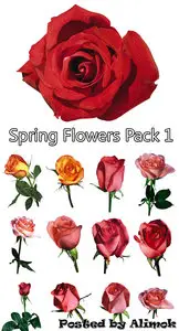 ClipArt - Photo Stock. Spring Flowers Set 1