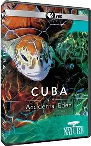 PBS Nature - Cuba: The Accidental Eden (2010) (Repost)