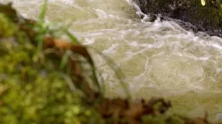 Wild Britain S01E04